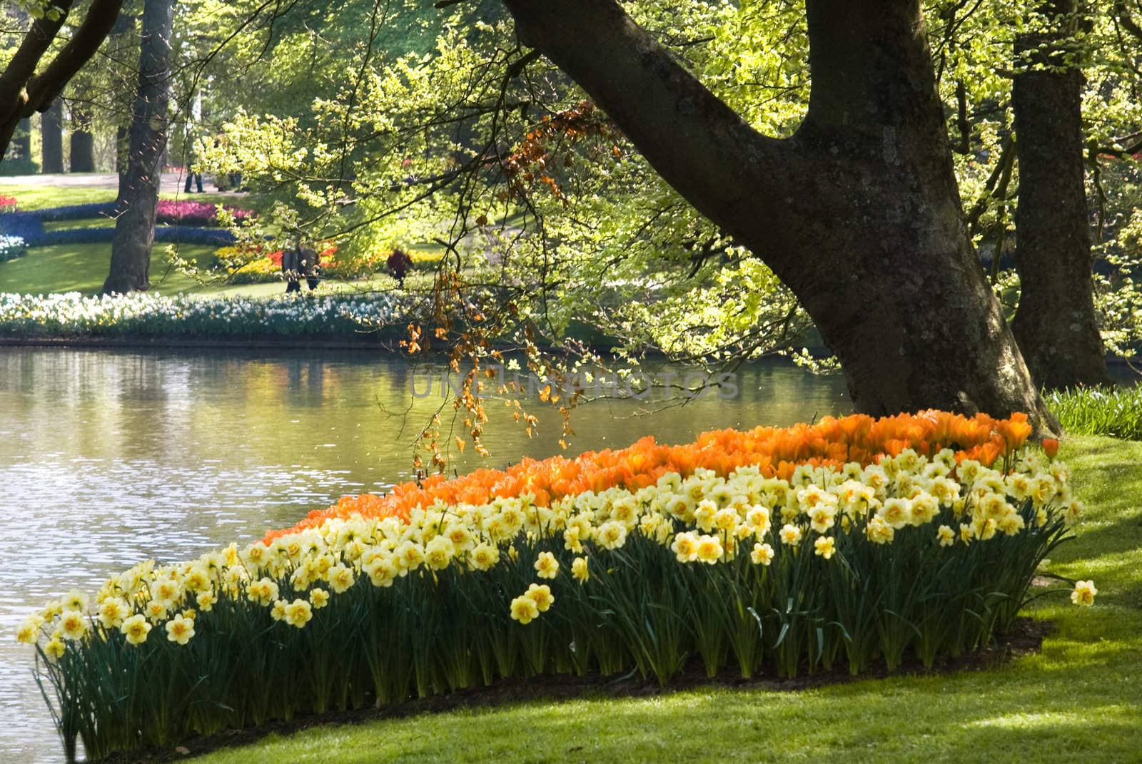 Pond in park with arrangement of flowers around in spring