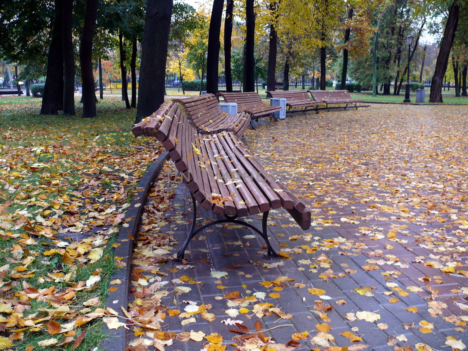 Autumn in the park by Stoyanov