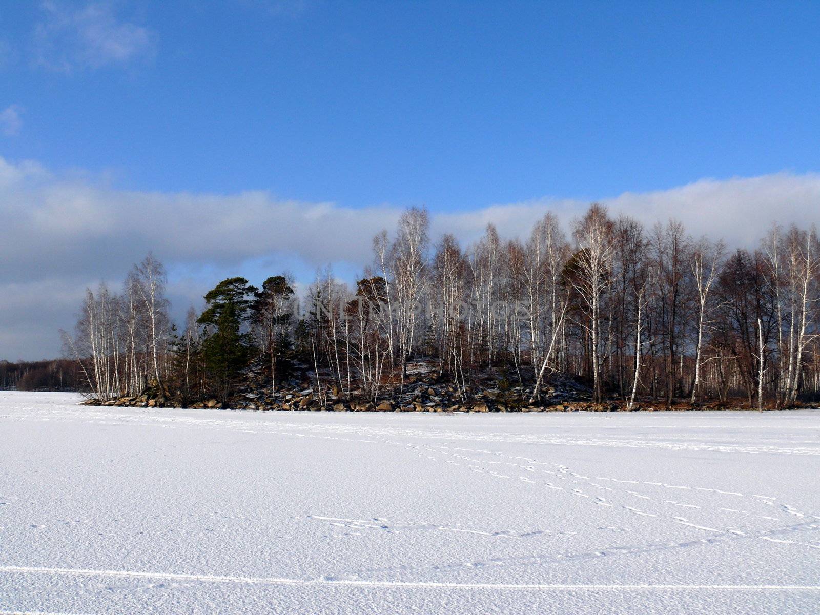 Winter landscape by Stoyanov