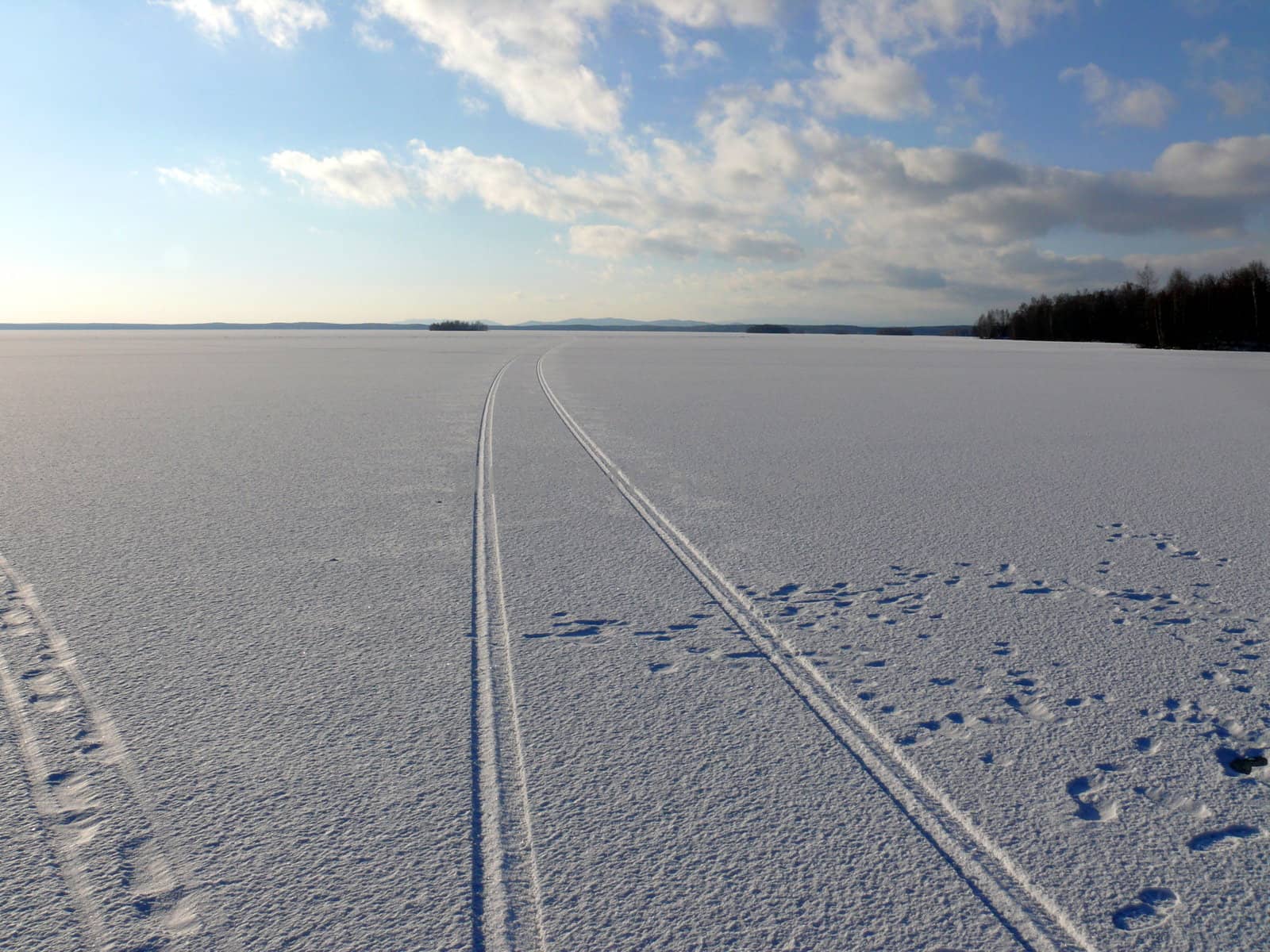 Winter landscape by Stoyanov