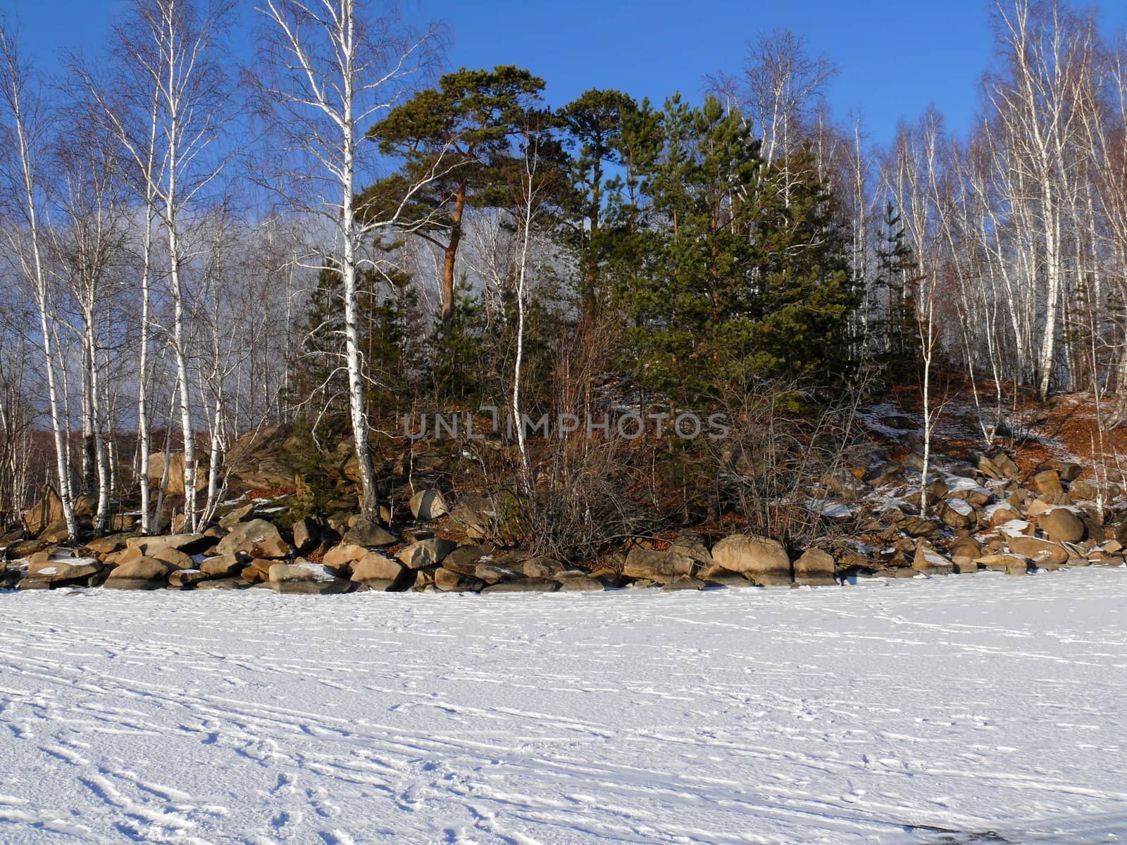 Winter landscape by Stoyanov