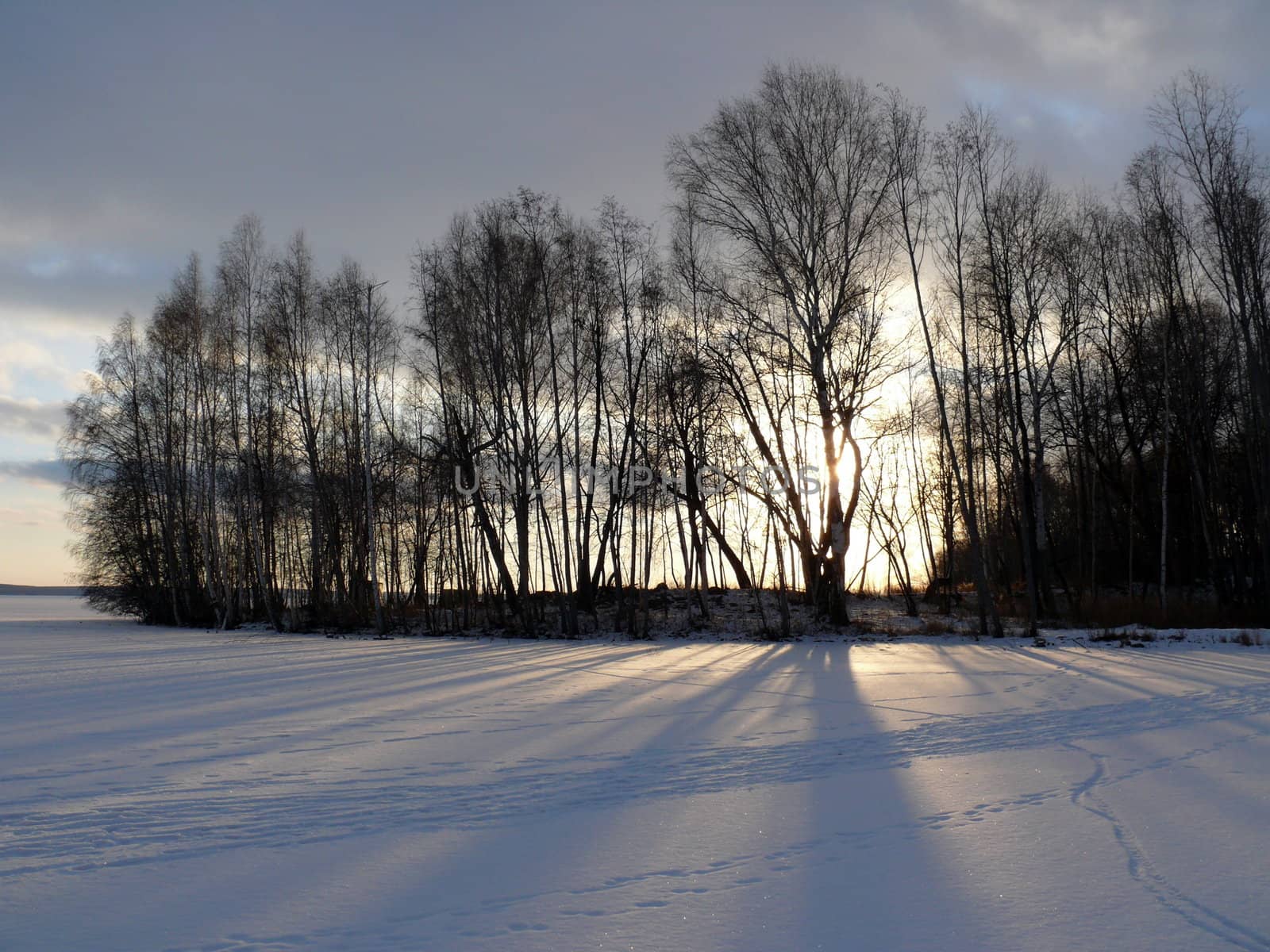 Winter landscape by Stoyanov