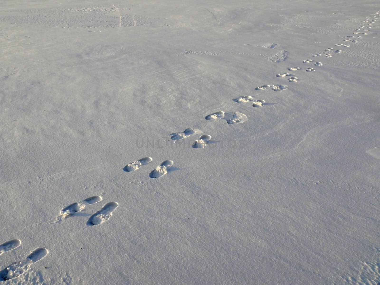 footprint in the snow by Stoyanov