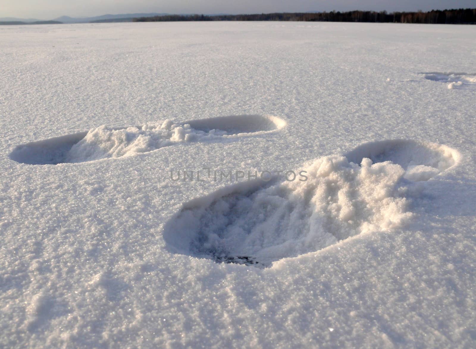 footprint in the snow by Stoyanov