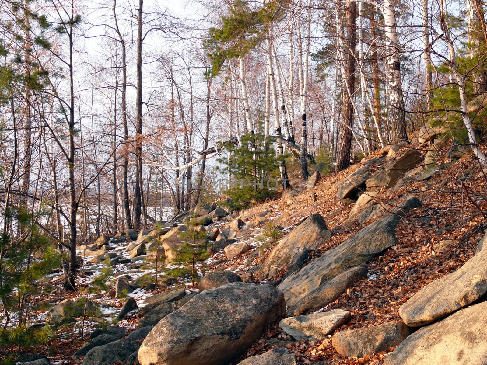 Winter landscape by Stoyanov