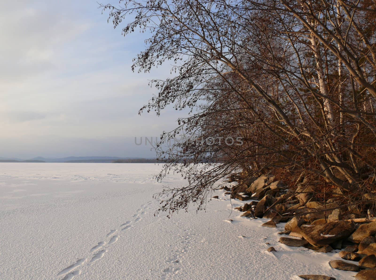 Winter landscape by Stoyanov