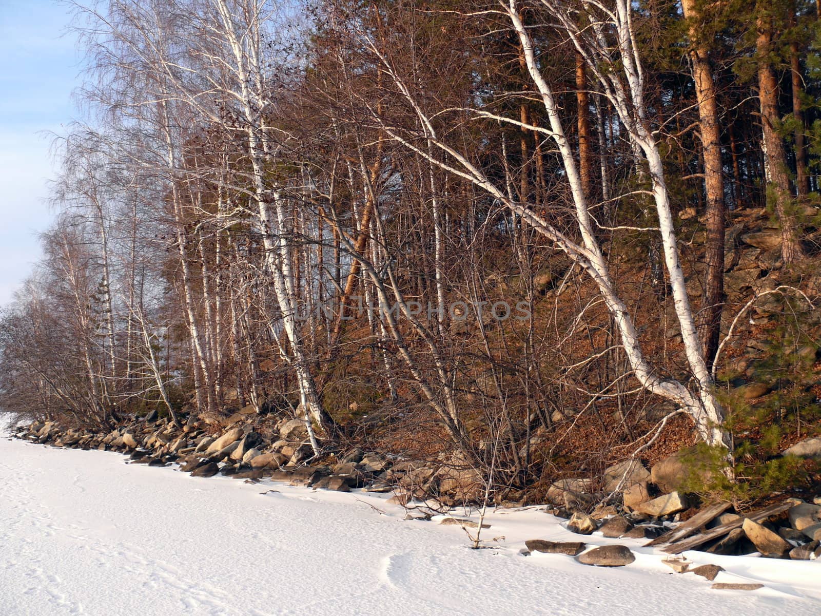 Winter landscape by Stoyanov