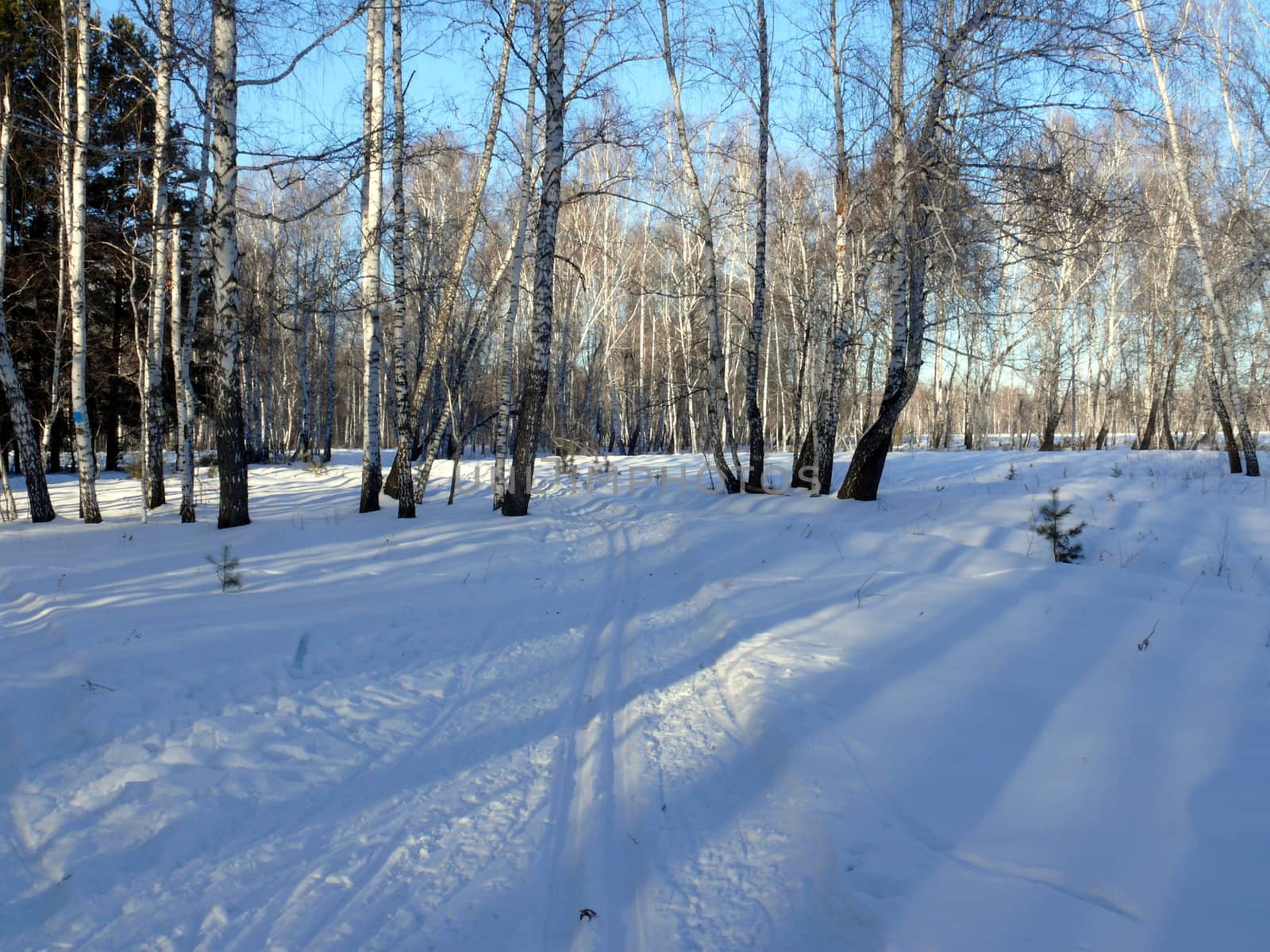 Winter landscape by Stoyanov