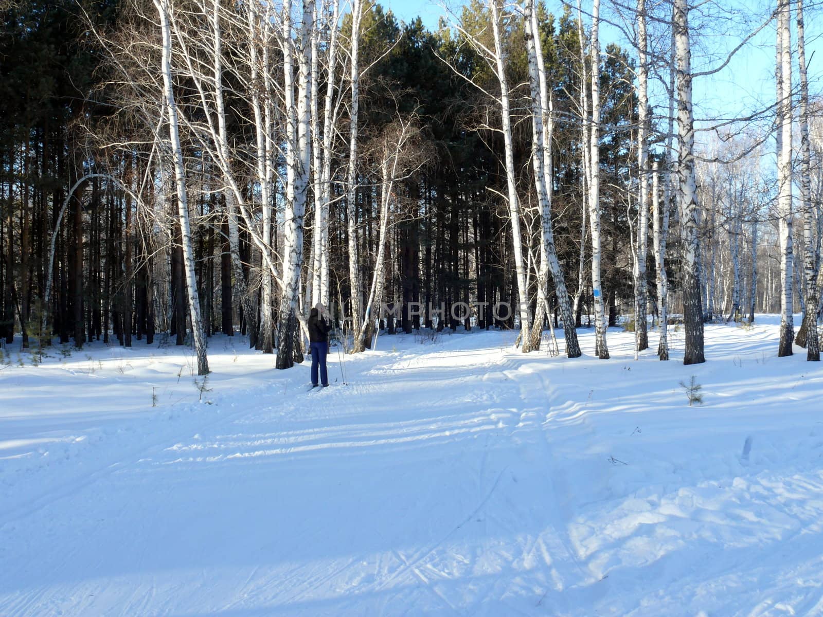 Winter landscape by Stoyanov