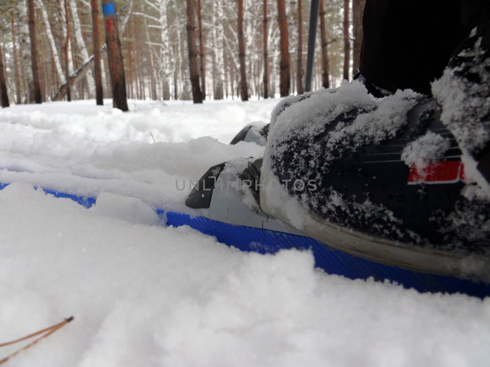 Ski fastening in the snow background