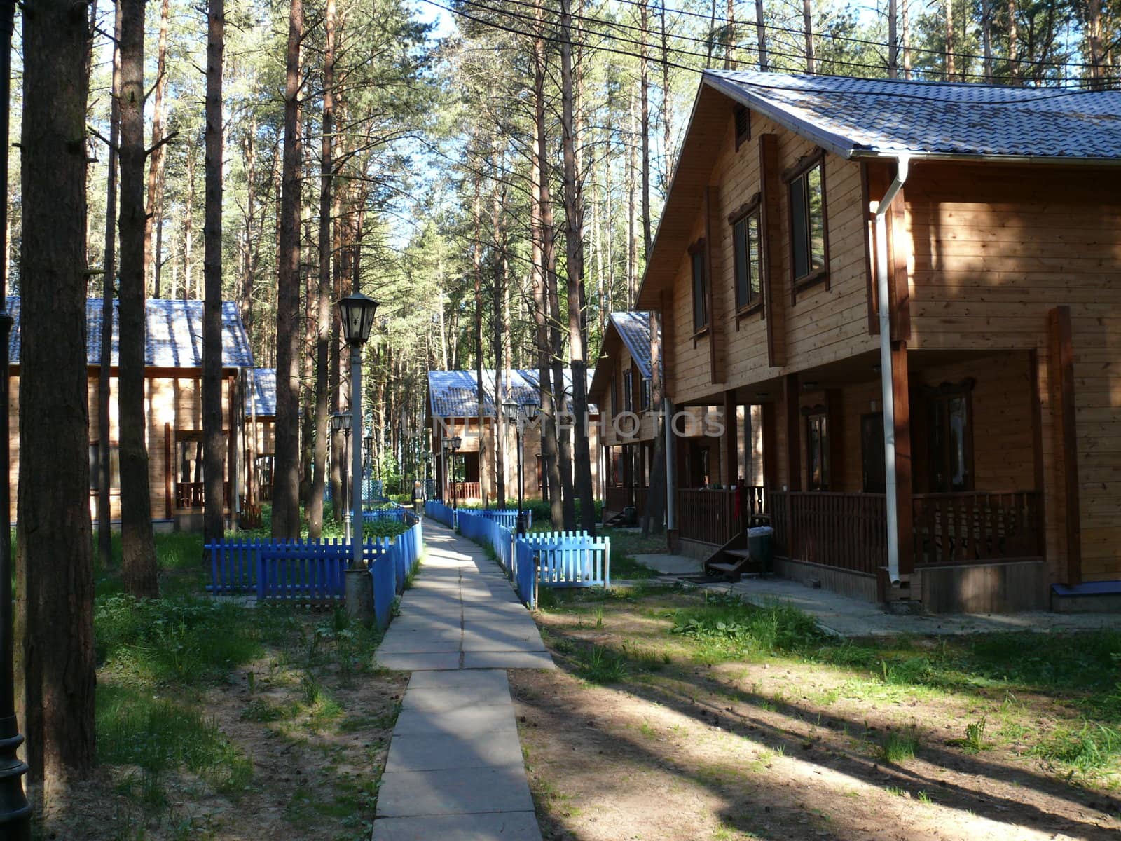 wooden cottages in pine forest