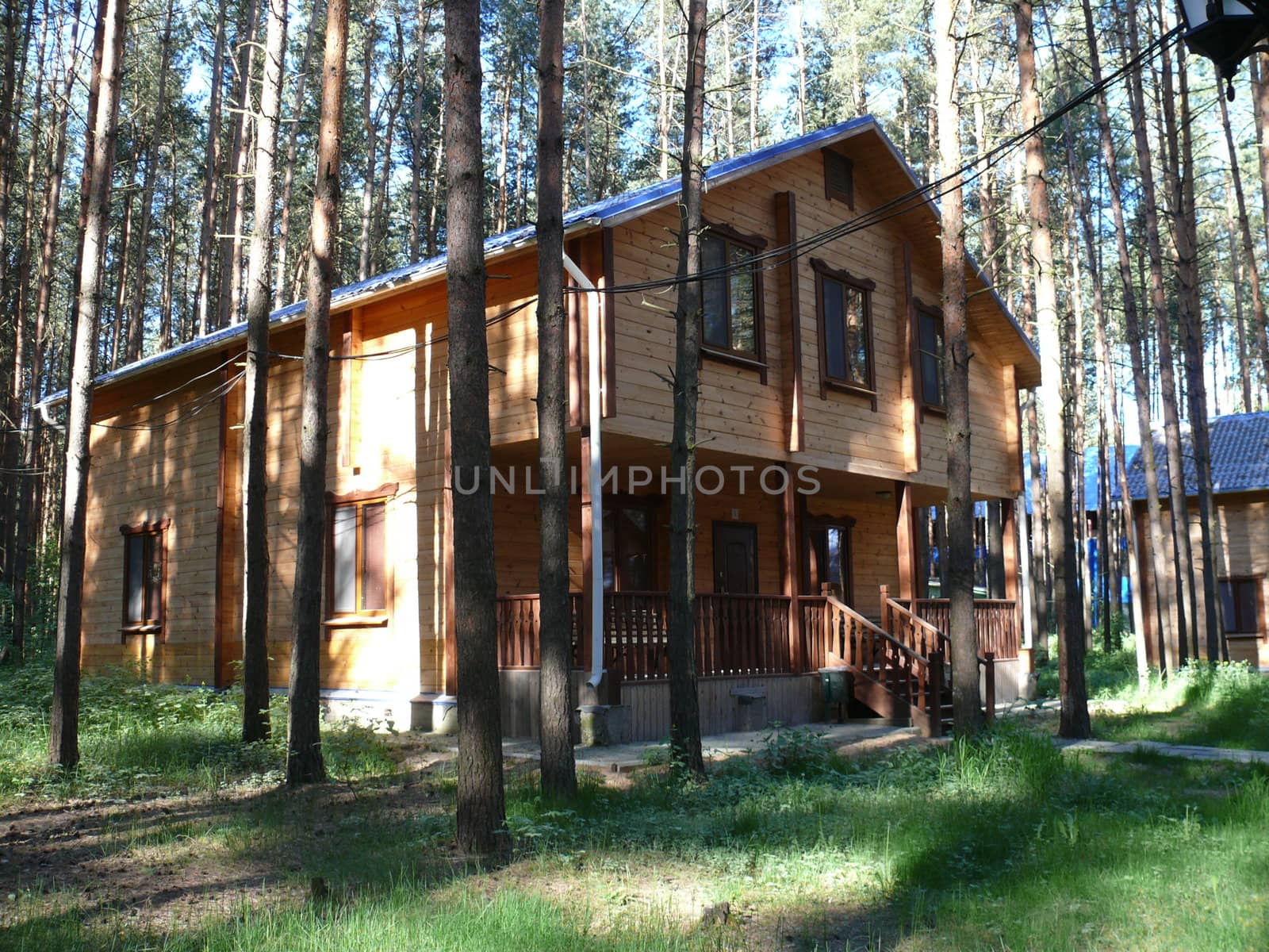 wooden cottages in pine forest by Stoyanov