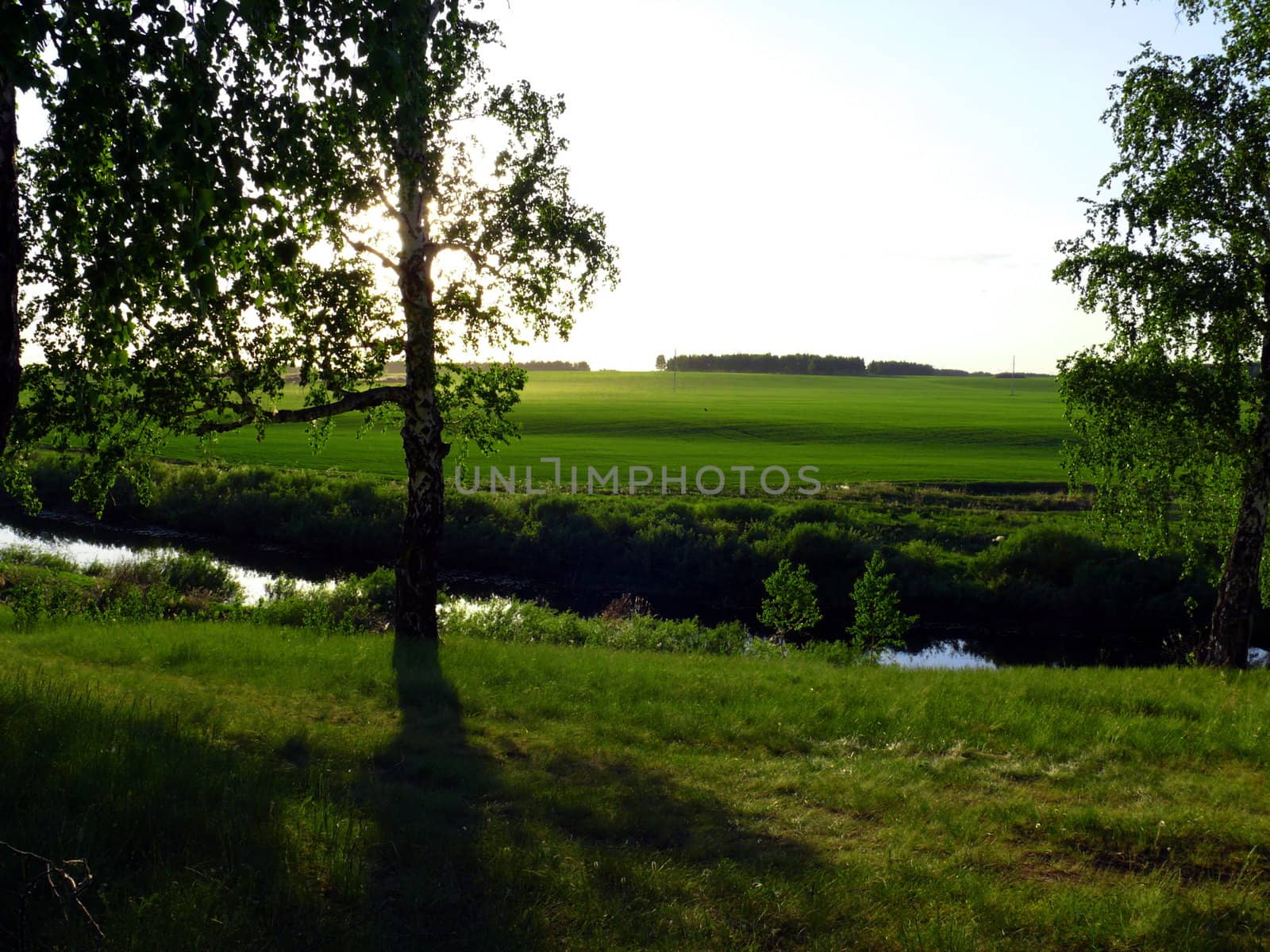 Evening in the river