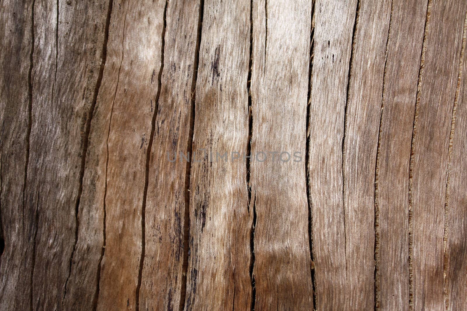 A background of an abstract wooden texture.