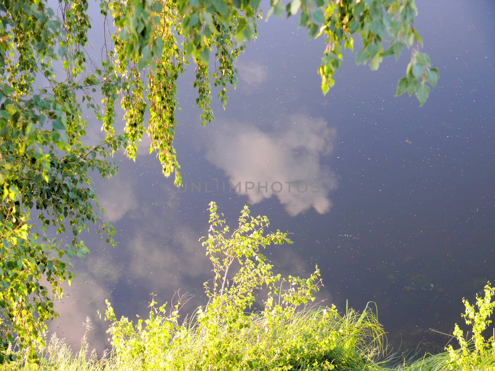 Evening in Uvel'ka River - Chelyabinsk area