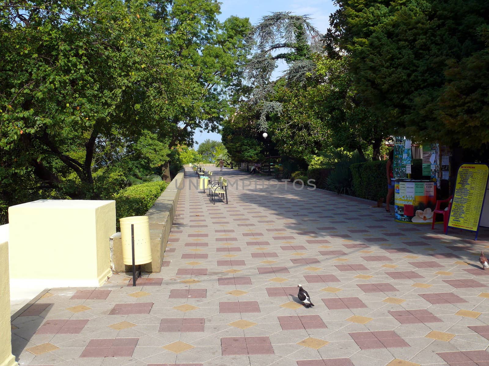pedestrian embankment - Sochi