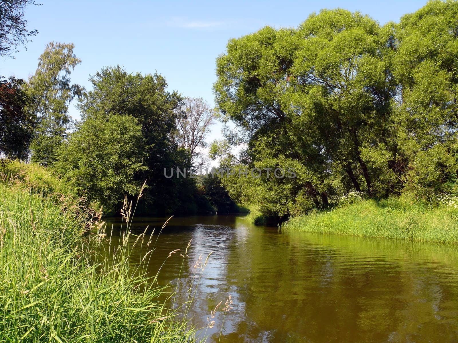 summer landscape with river by Stoyanov