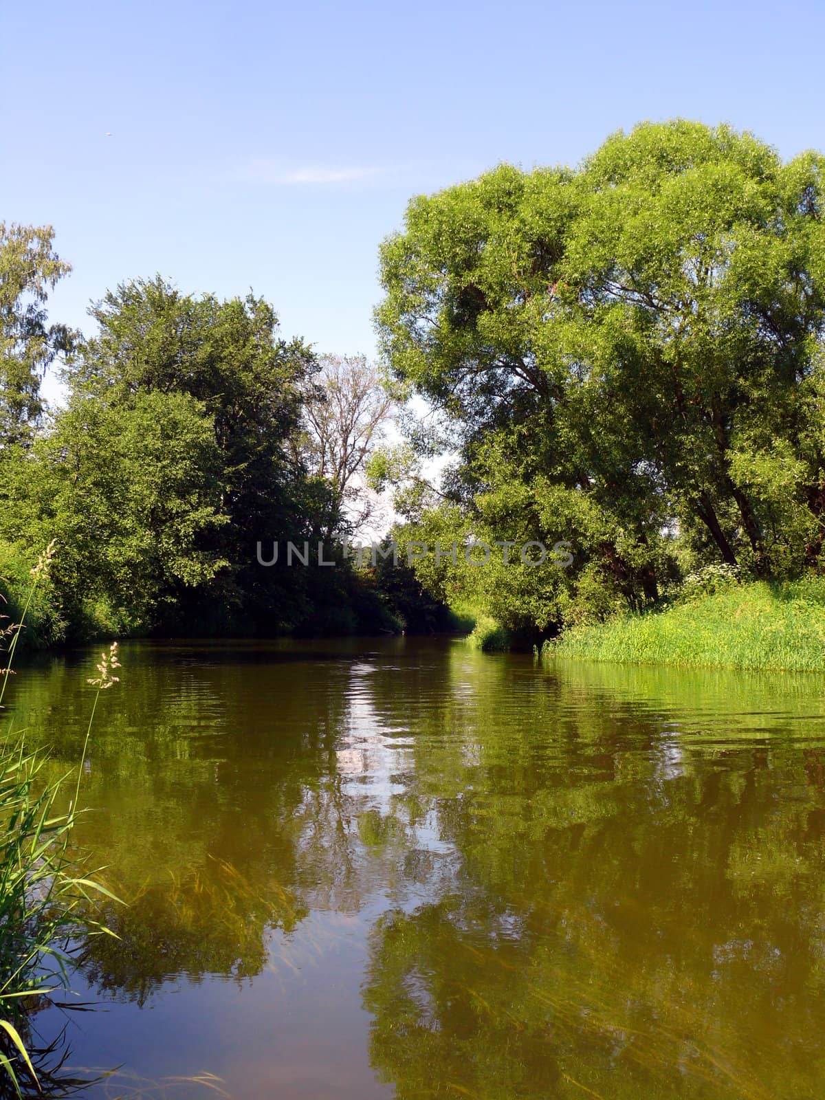 summer landscape with river by Stoyanov