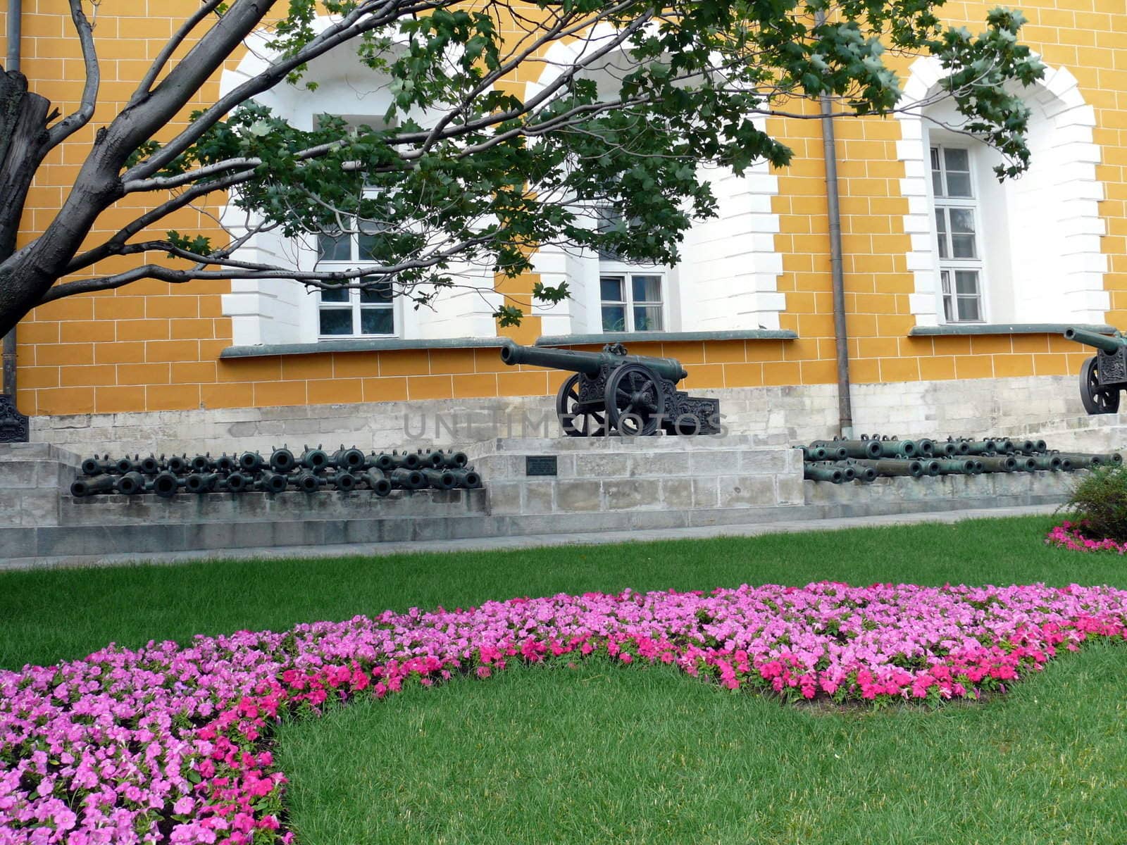 Cannon in the Kremlin territory