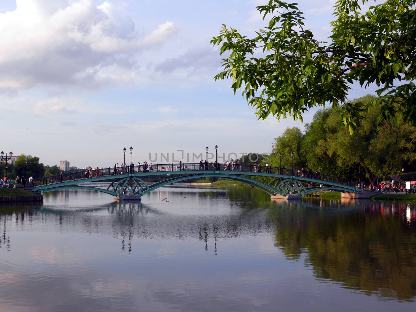 Bridge in Tsaritsino, Moscow by Stoyanov