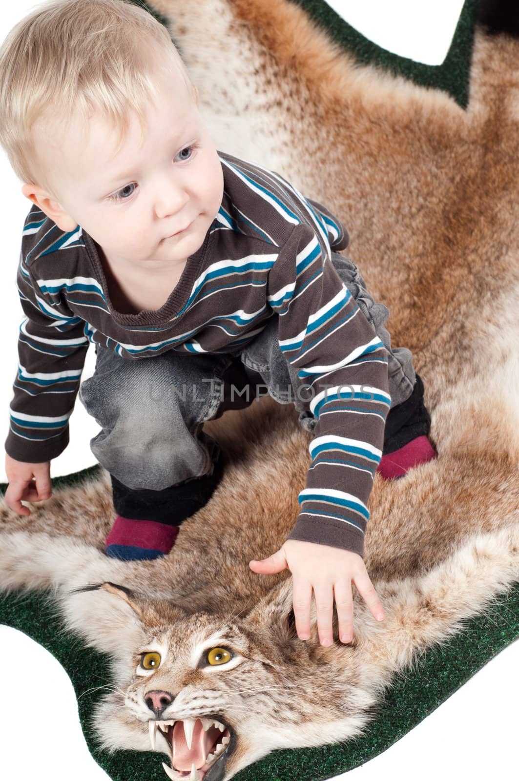 Shot of little cute boy with lynx fur