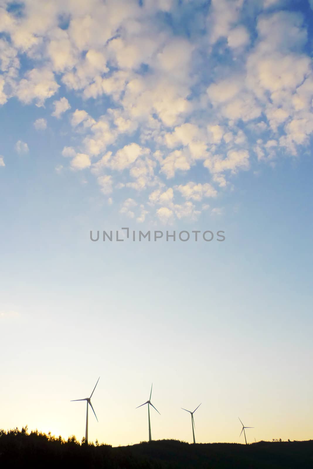 Wind farm at sunset