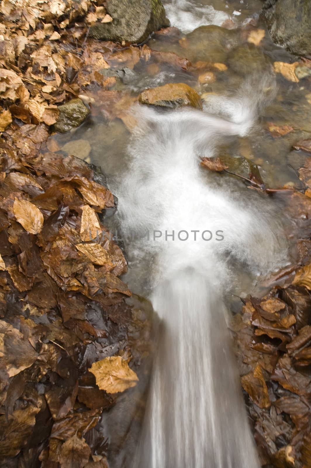 motion blured river flow, dried brown leafs