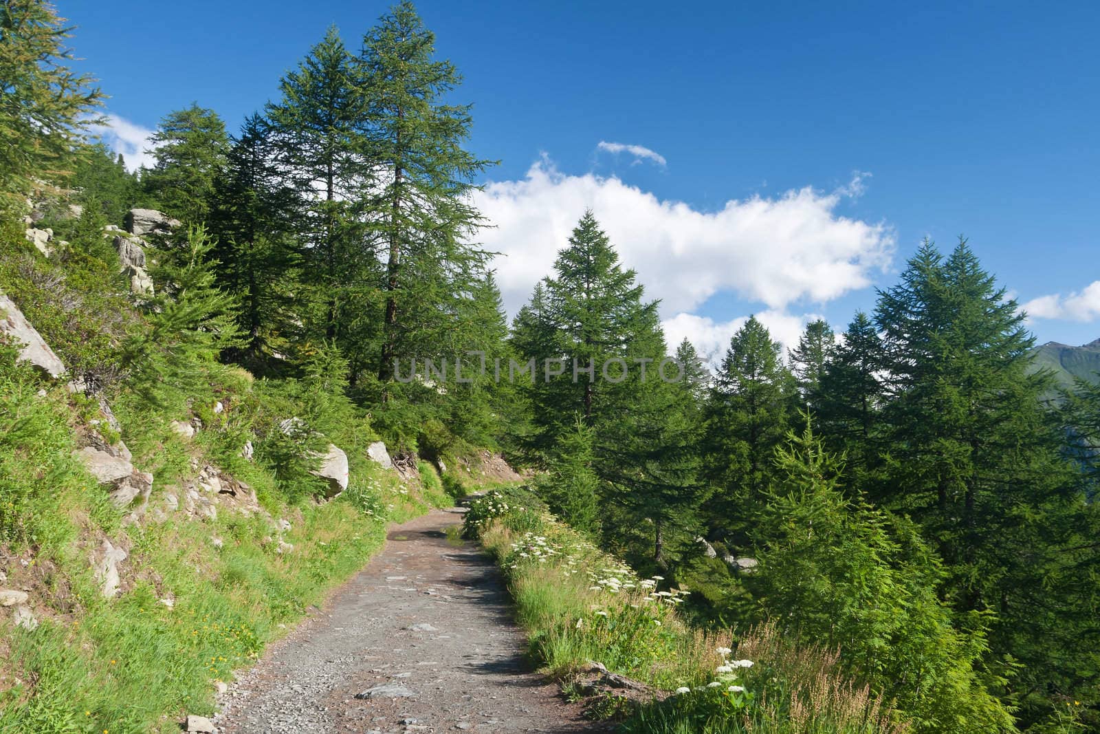 beautiful path in Italian Alps with mont Blanc on background