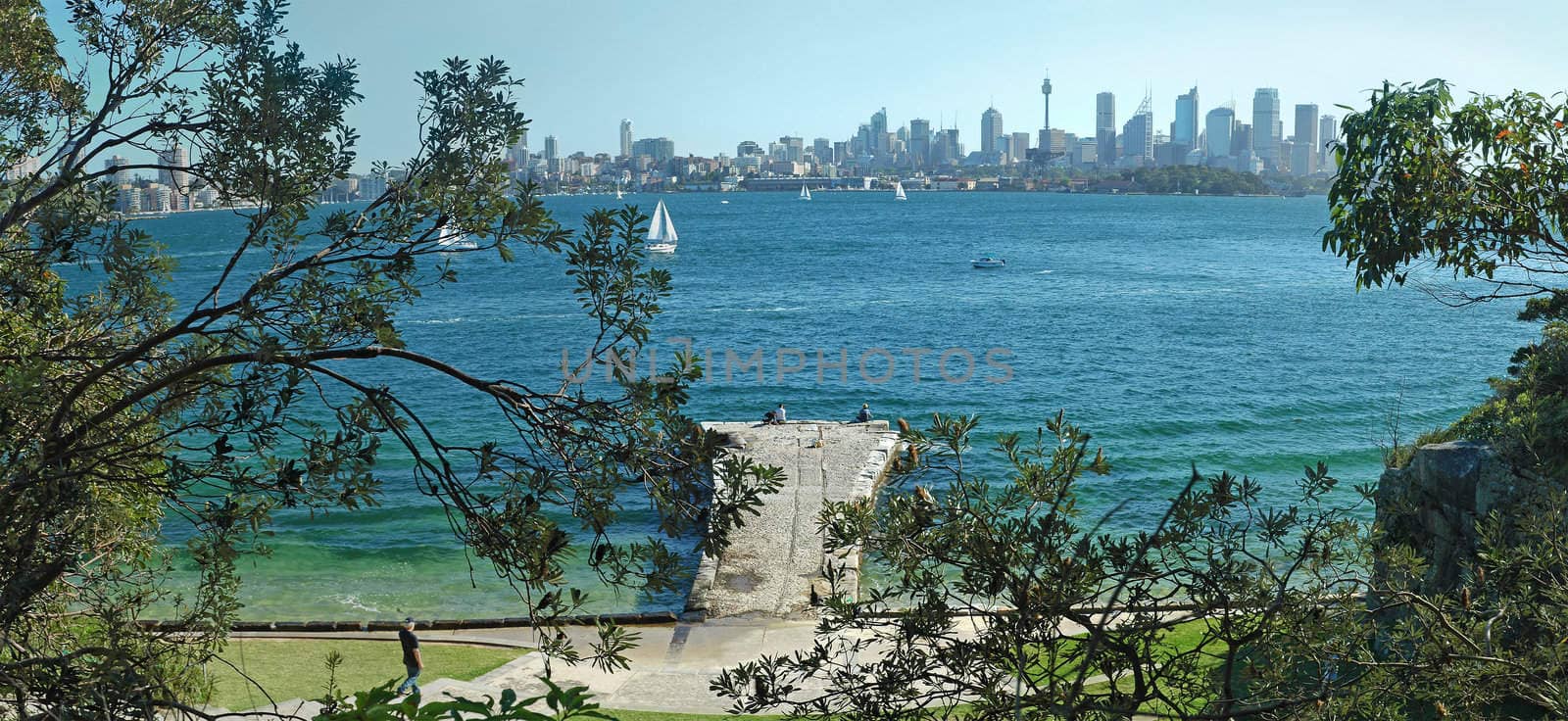 panorama of sydney skyline, boats in water, trees in foreground