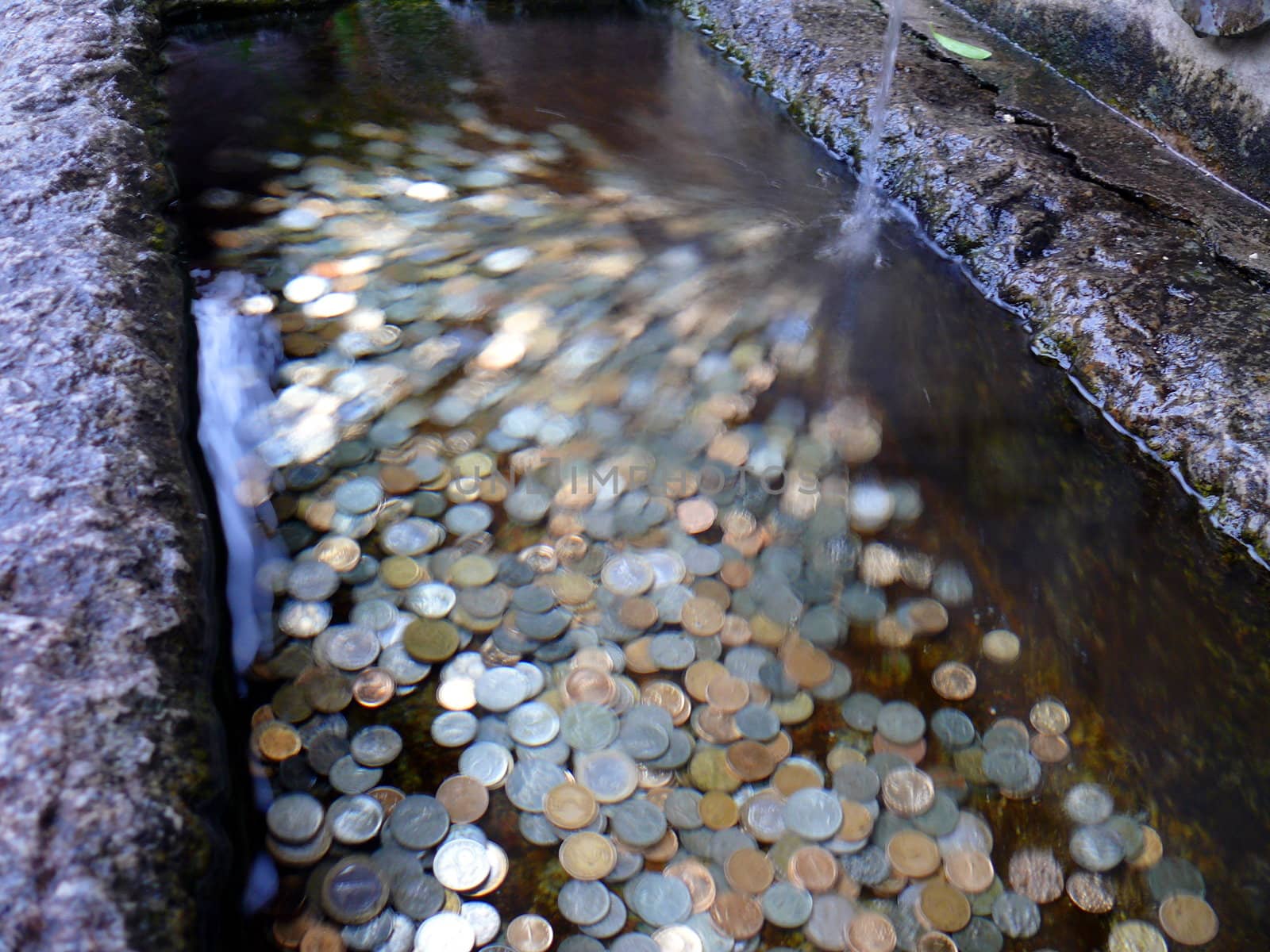 Coins in the spring by Stoyanov