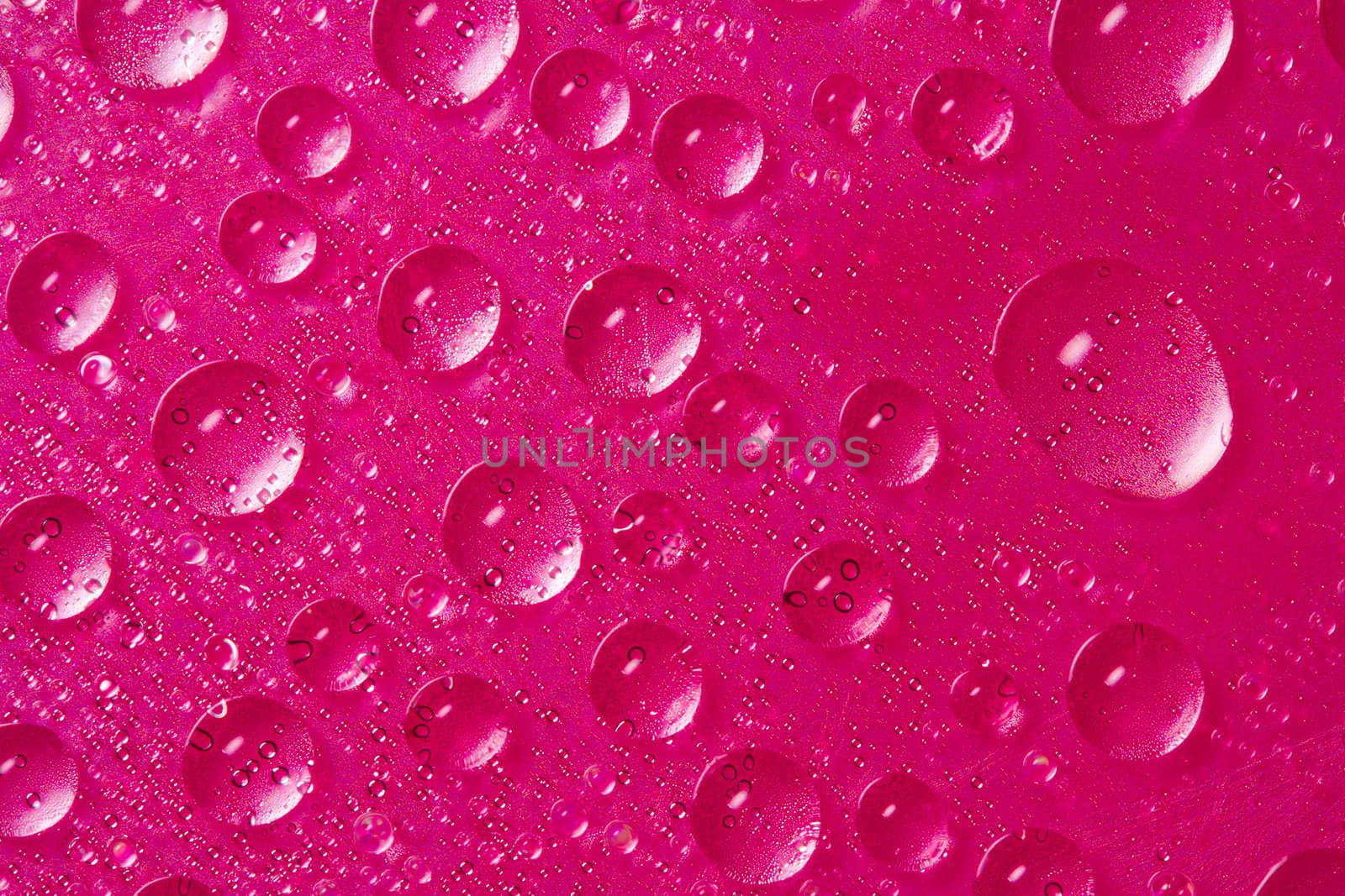 many drops of water on pink background