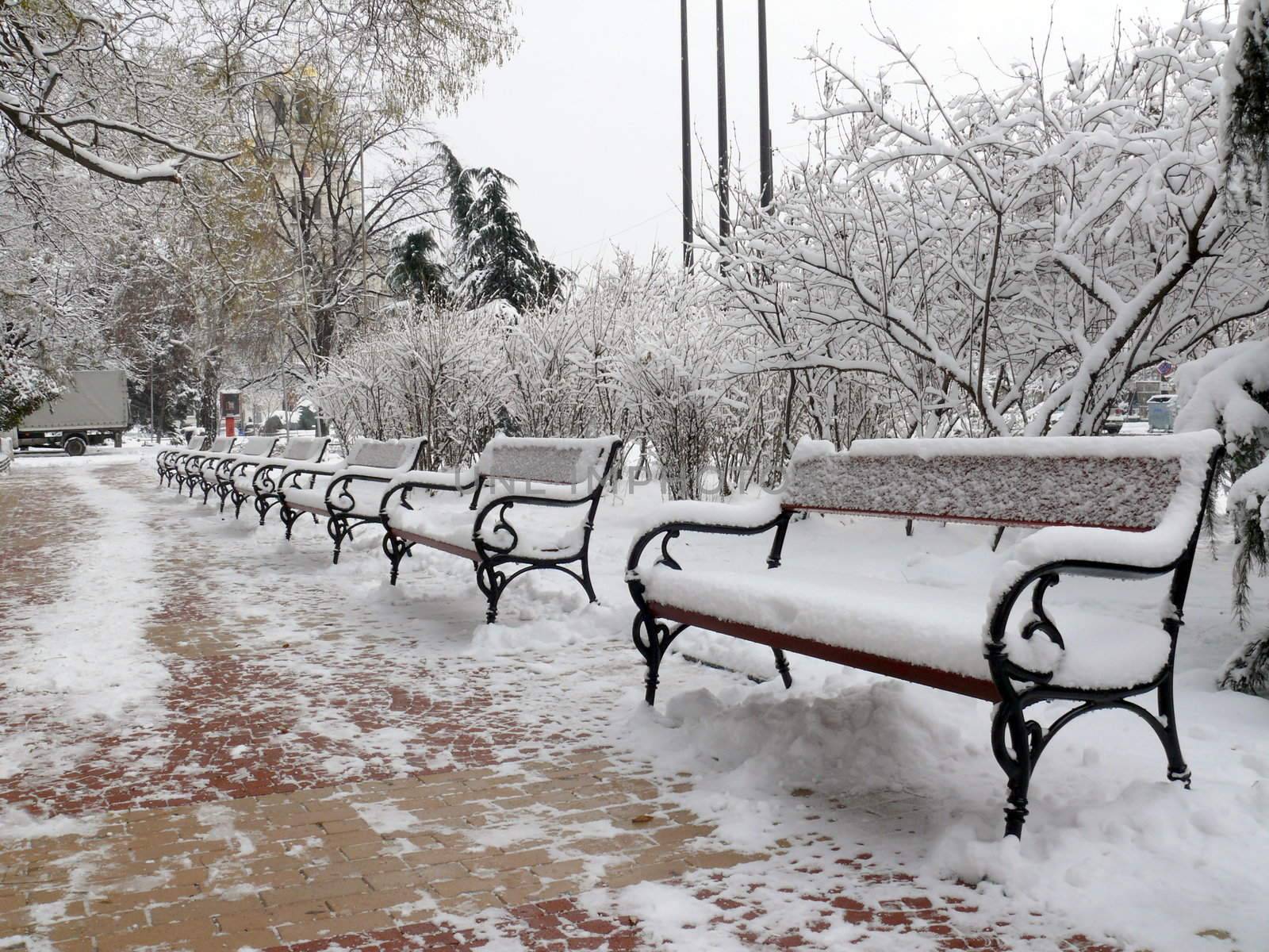 Benches with snow in Sofia, Bulgaria by Stoyanov