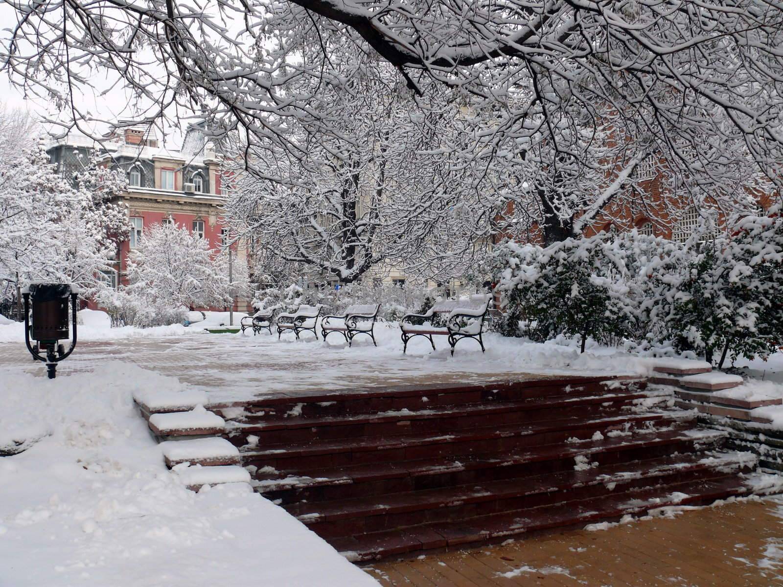 Benches with snow in Sofia, Bulgaria