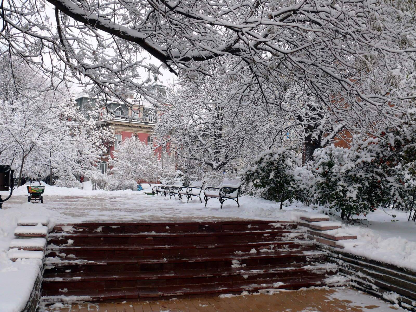 Benches with snow in Sofia, Bulgaria