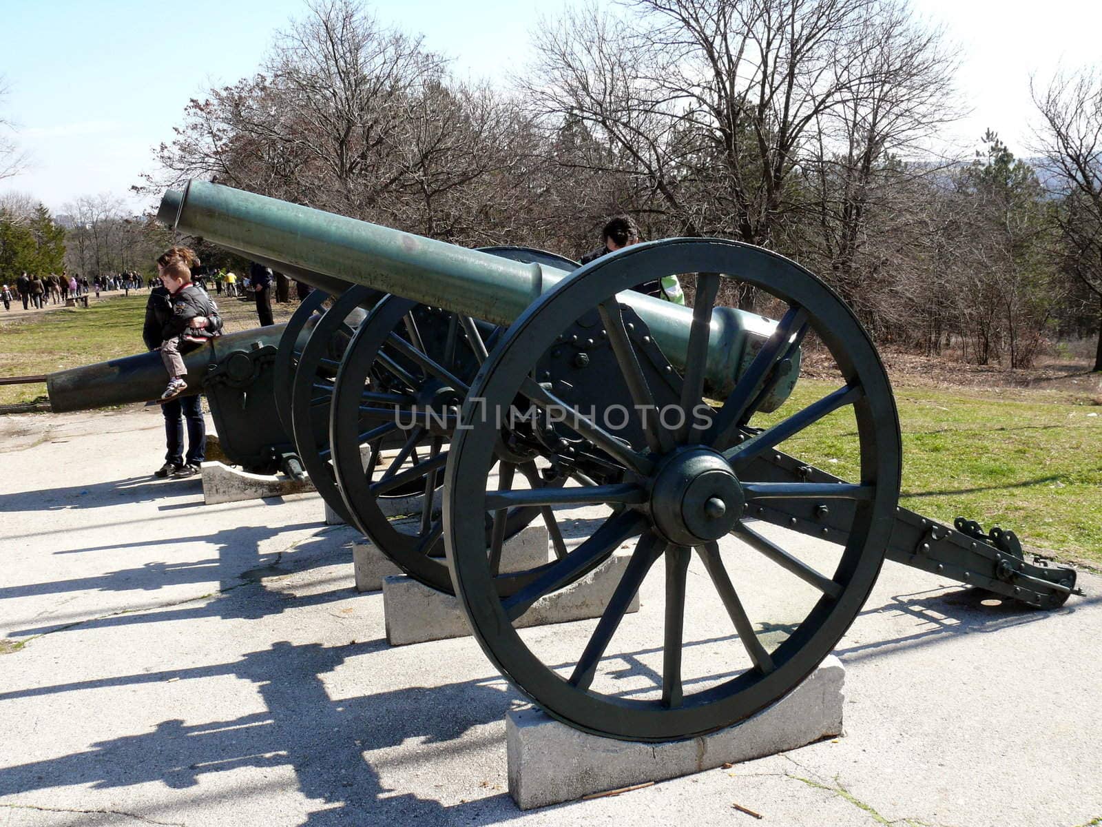 Cannon in Skobelev Park, Pleven, Bulgaria by Stoyanov