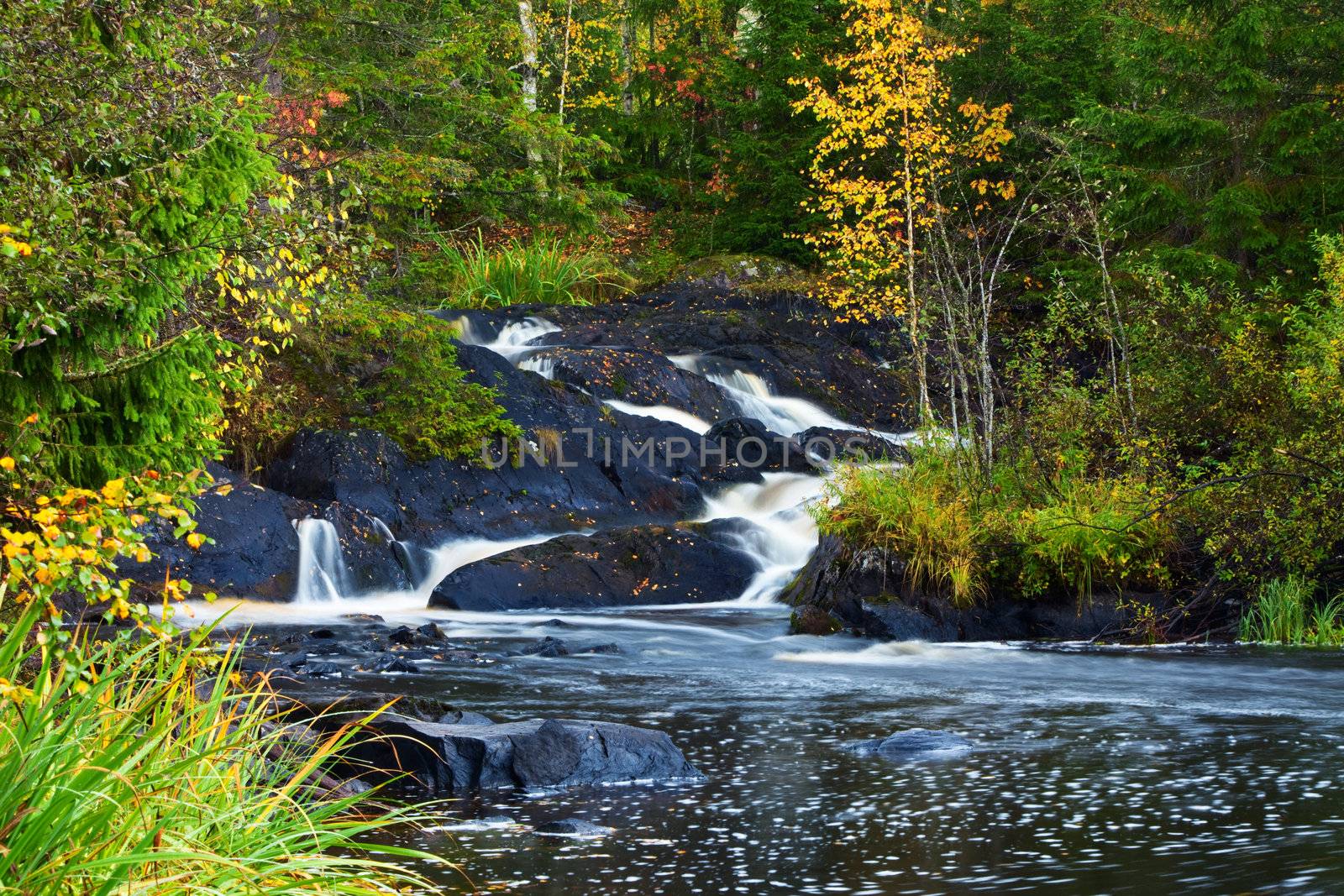 mountain waterfall. fast stream water. autumn landscape