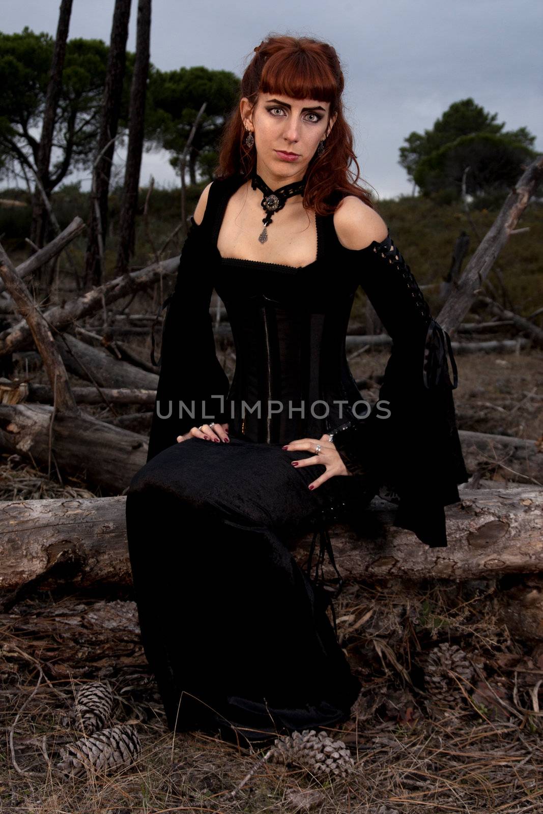 Dark gothic woman with dark clothes posing on the night forest.