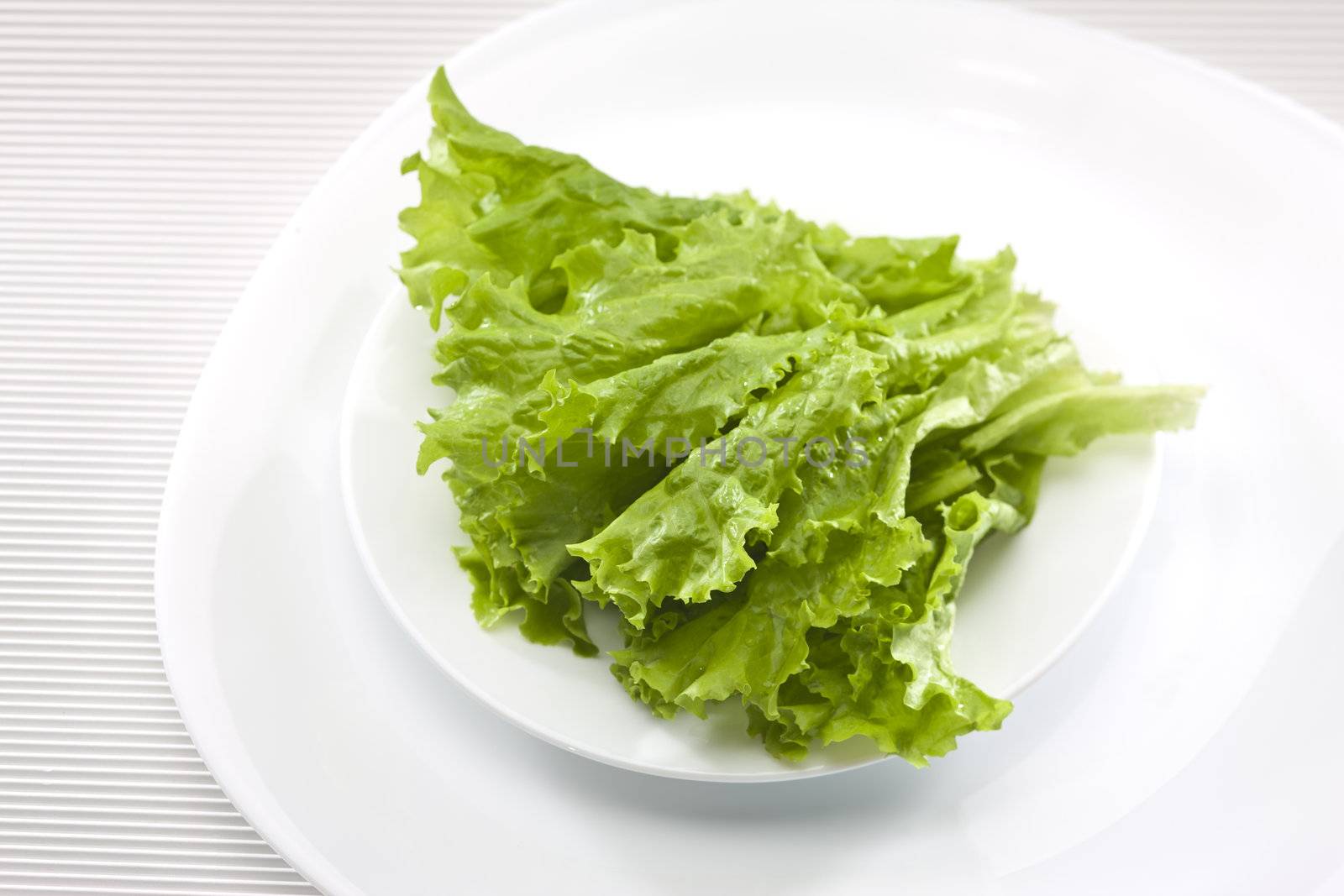 food series: fresh ripe green lettuce on white plate