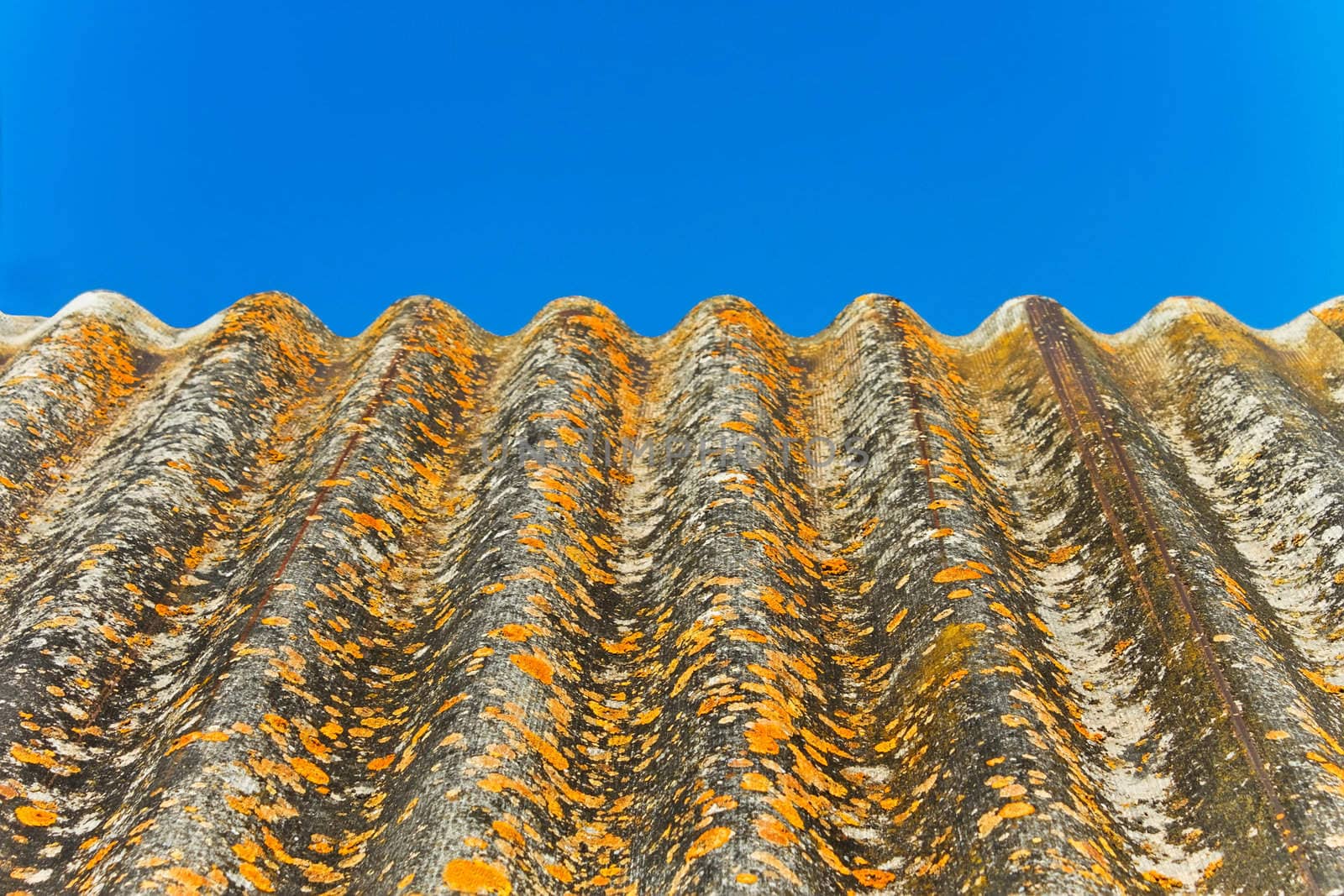 Fragment of the old slate wavy roof, partly covered with lichen