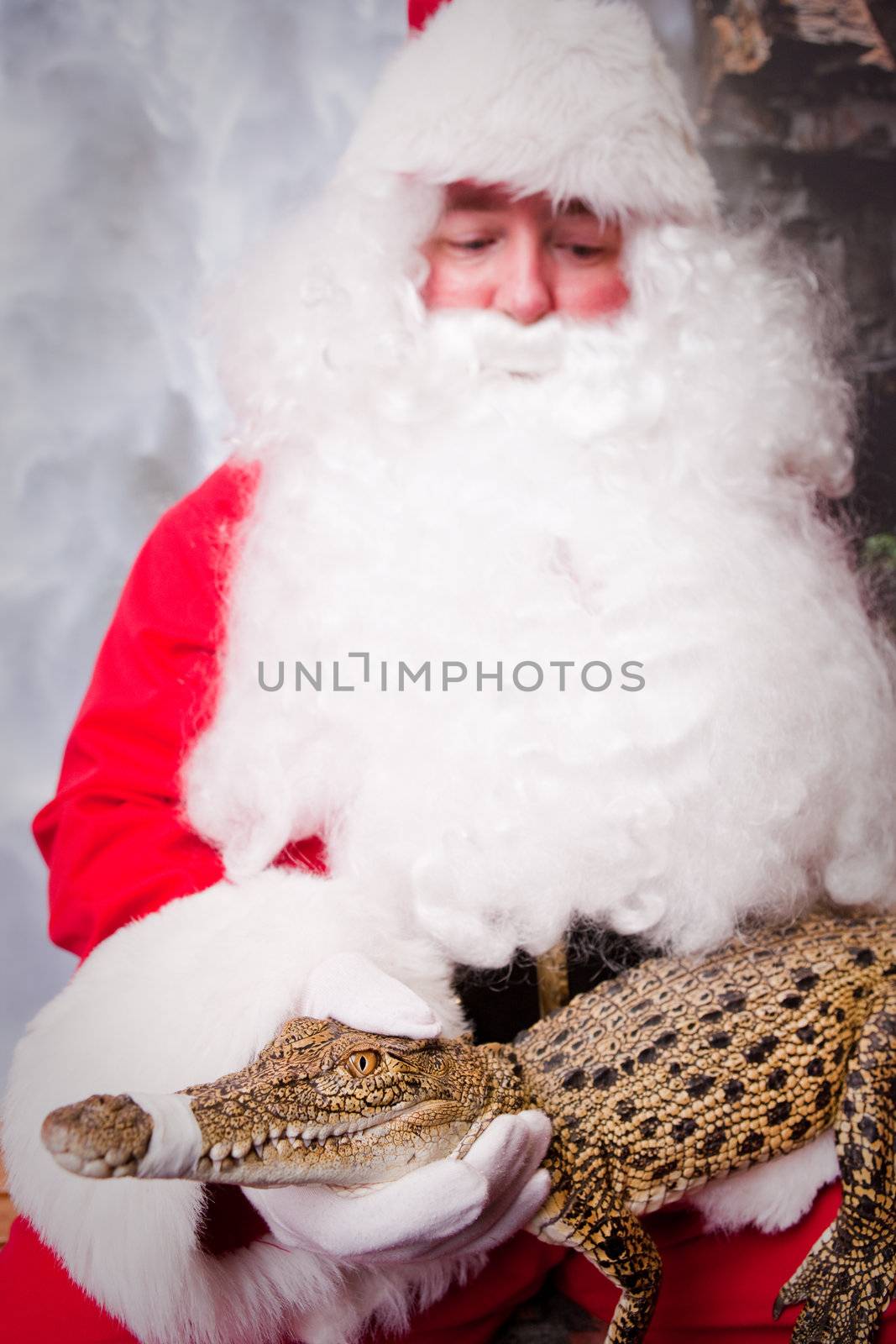 Santa Claus with wild animal