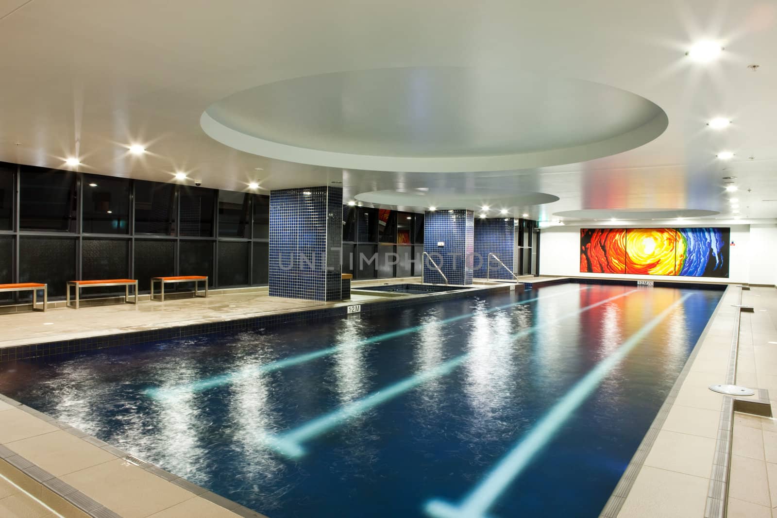 Modern and Luxurious Swimming Pool