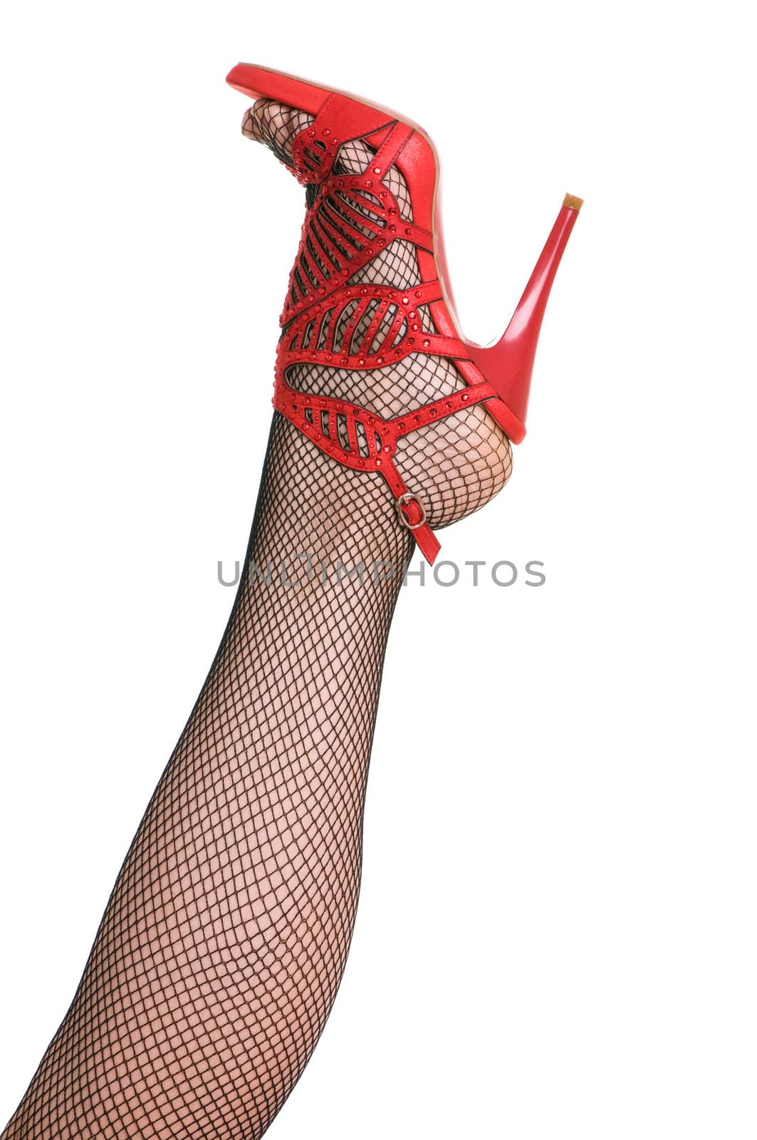 female leg in black pantyhose isolated on white background