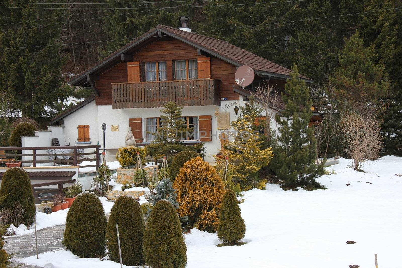 chalet and trees