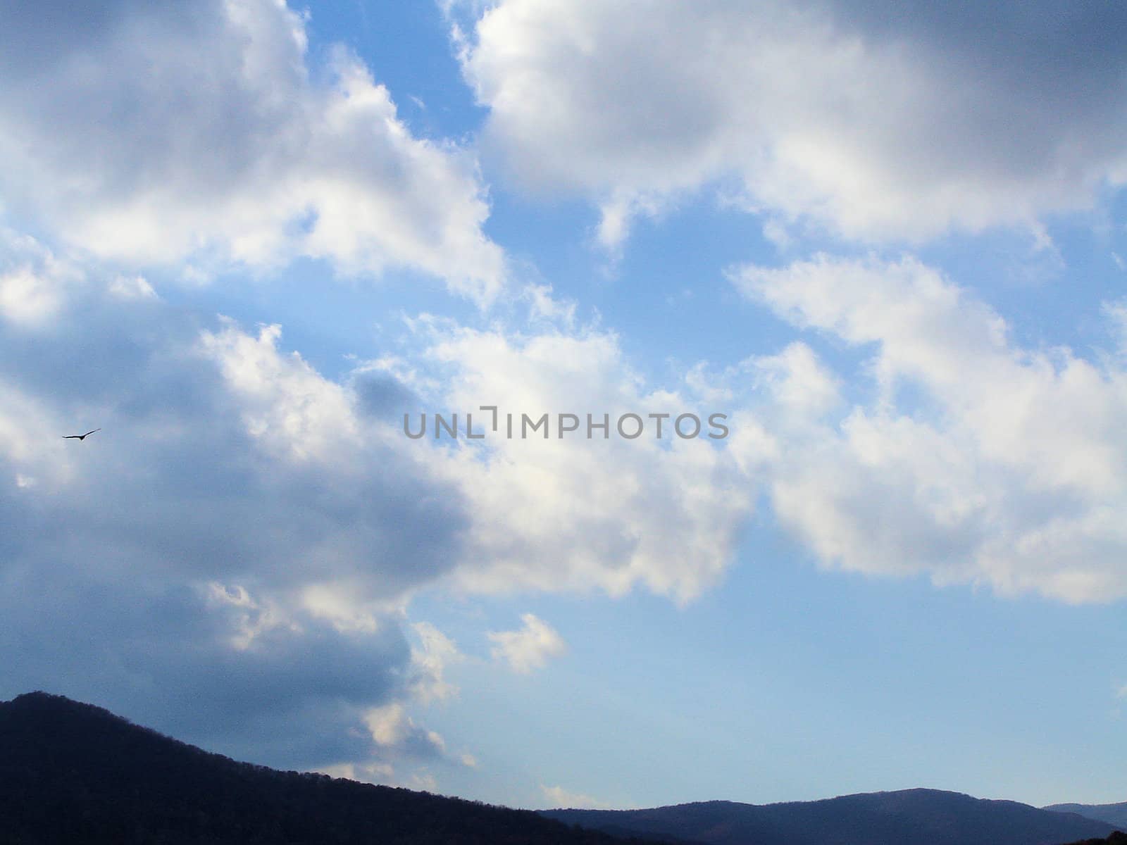 Asheville in the fall by RefocusPhoto