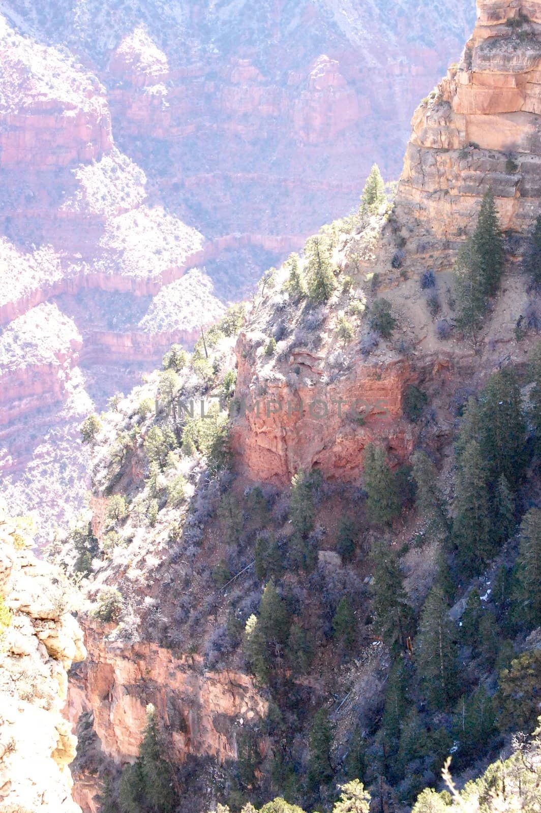 Grand Canyon mountainside