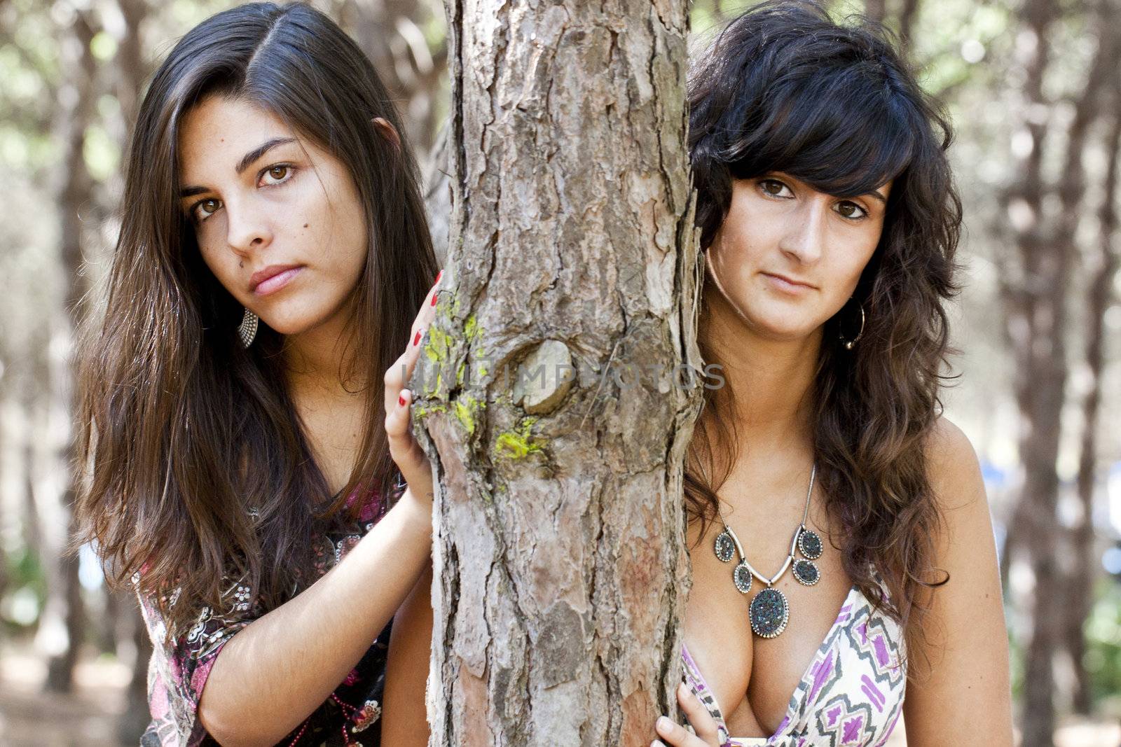 two lovely girls behind a pine tree.