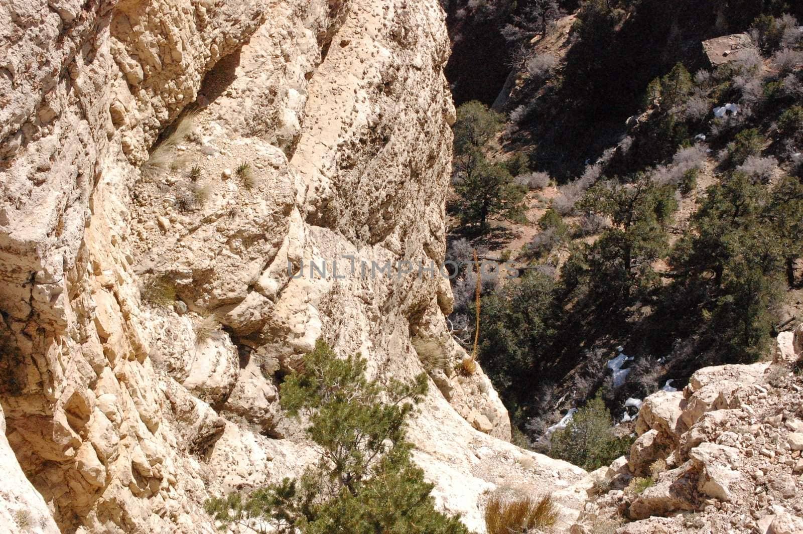 Mountainside perspective by RefocusPhoto