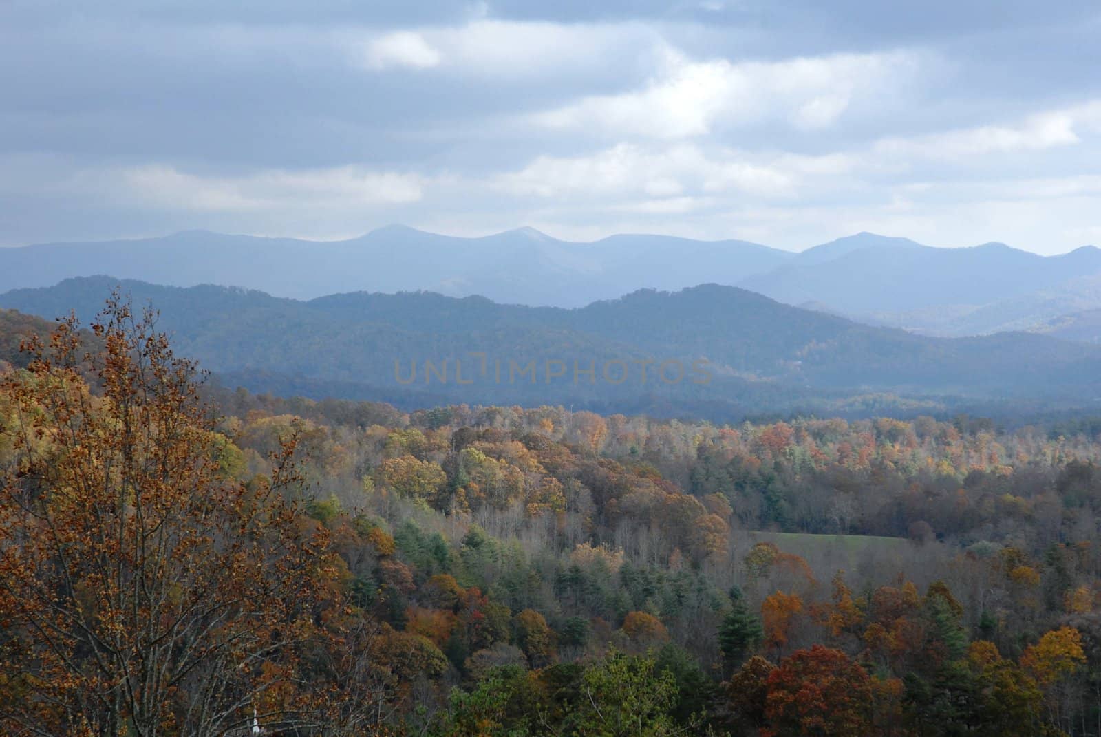 North Carolina Mountains by RefocusPhoto