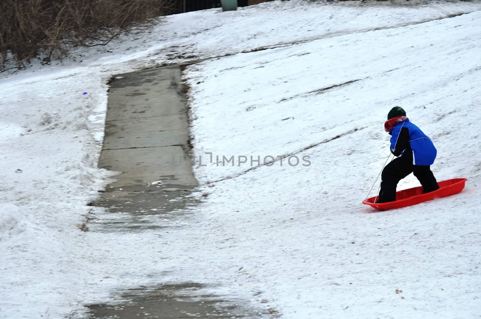 sledding near the sidewalk