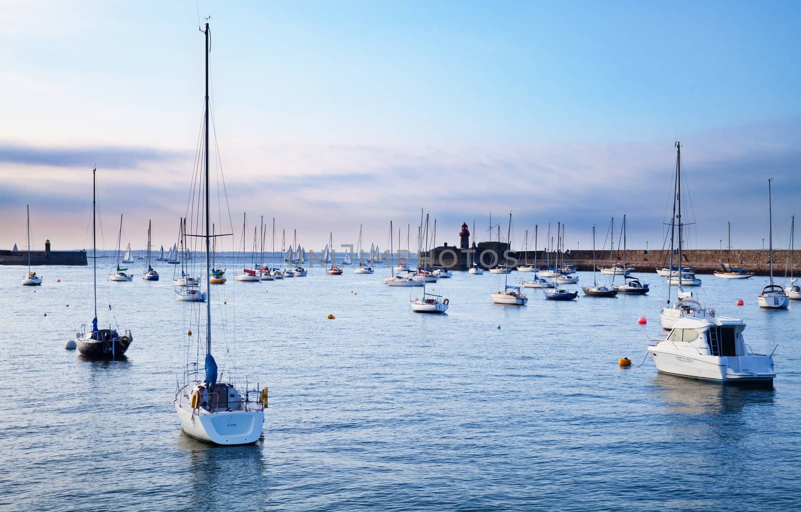 Anchored sailboats in a city harbor at sunset